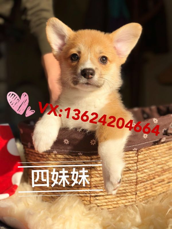 微信图片_20180119120050.jpg