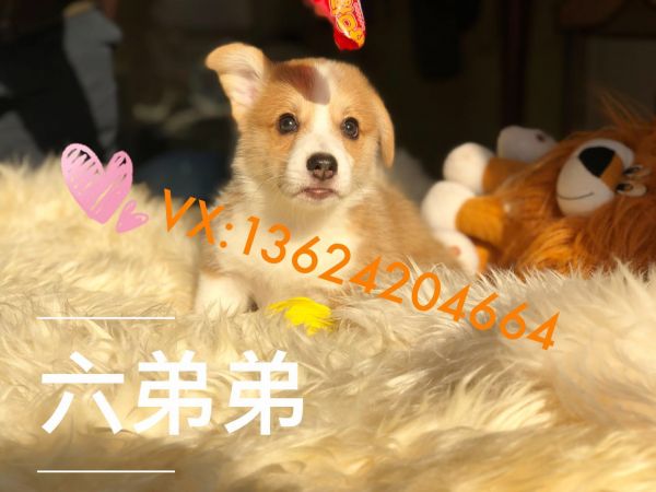 微信图片_20180119120054.jpg