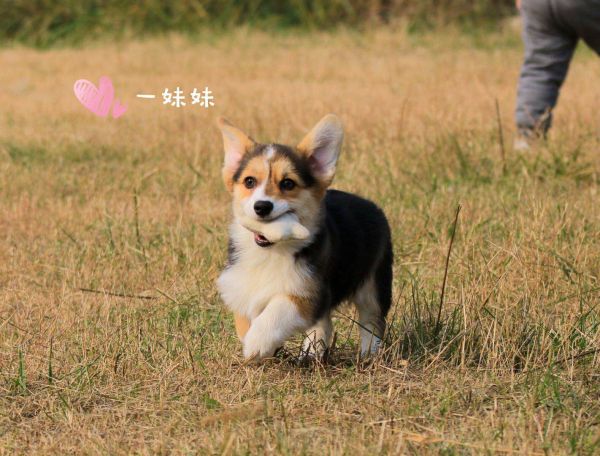 微信图片_20180119114642.jpg