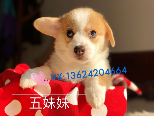 微信图片_20180119120035.jpg