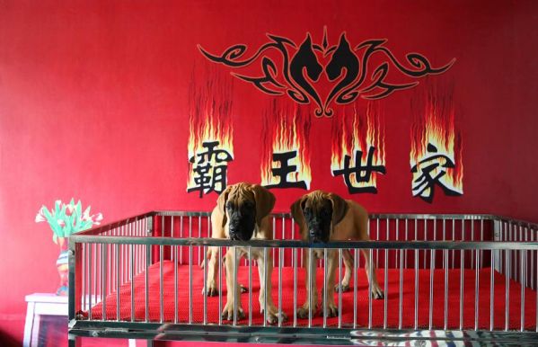 IMG_4312.JPG