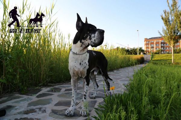 IMG_4788.jpg