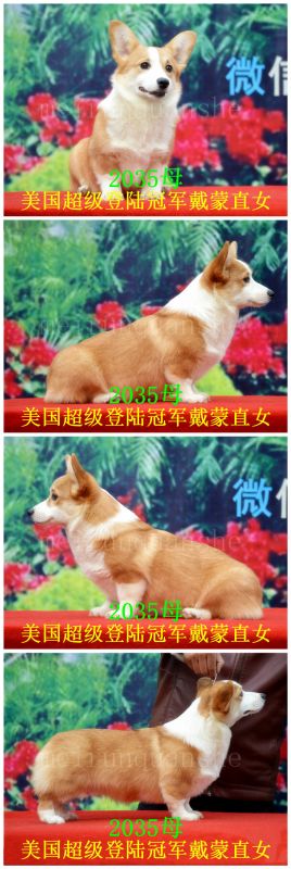 DSC_0827_副本.jpg