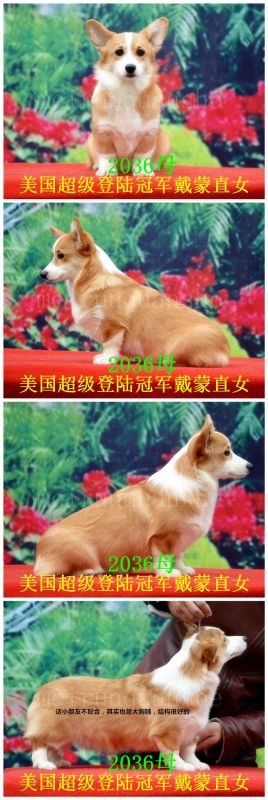 initpintu_副本.jpg