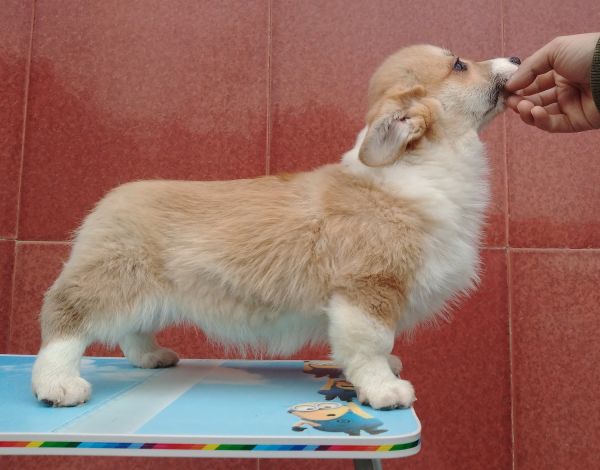 1MM3个半月 (4).jpg