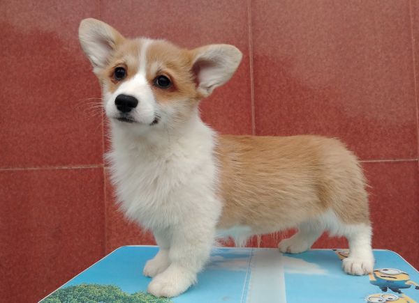 2MM3个半月 (5).jpg