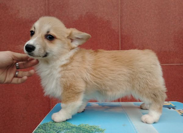 1MM3个半月 (1).jpg