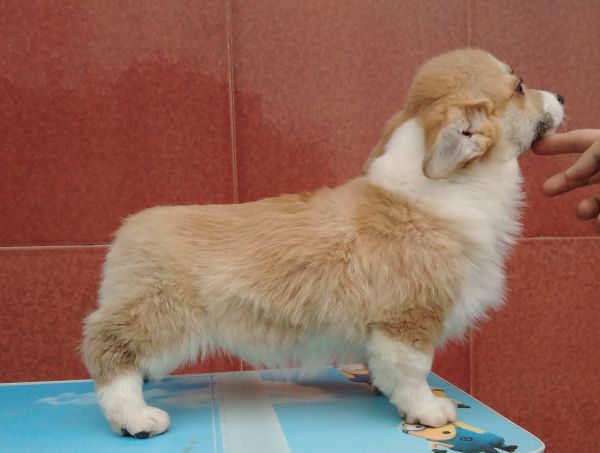 1MM3个半月 (5).jpg