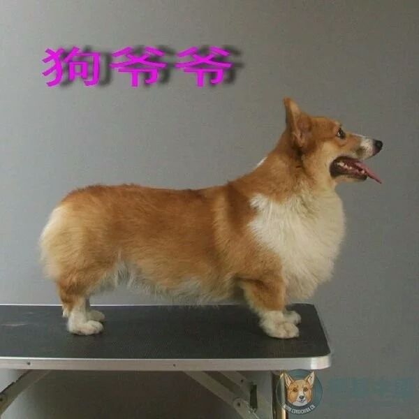 1299577539.jpeg