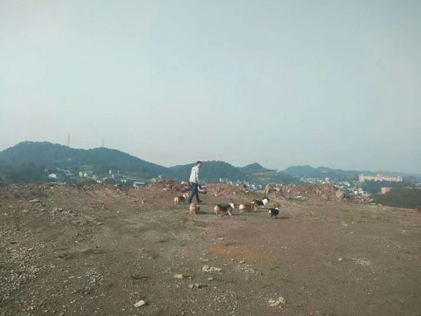 QQ图片20180121235330.jpg