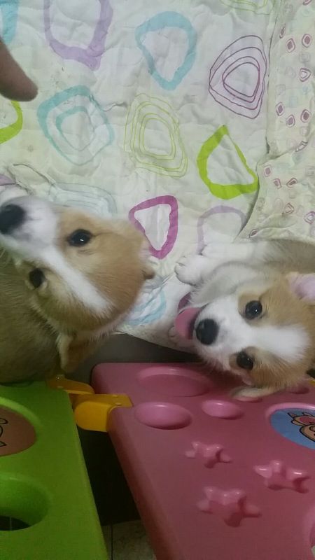 QQ图片20180122124814.jpg