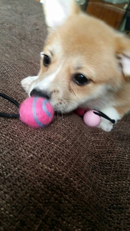 QQ图片20180122124725.jpg