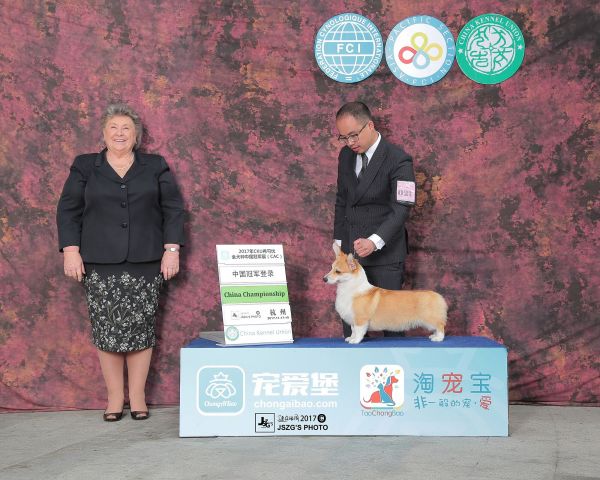 QQ图片20180123150609.jpg