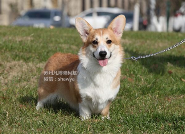 IMG_6331_副本.jpg