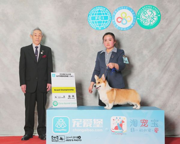 QQ图片20180123150613.jpg