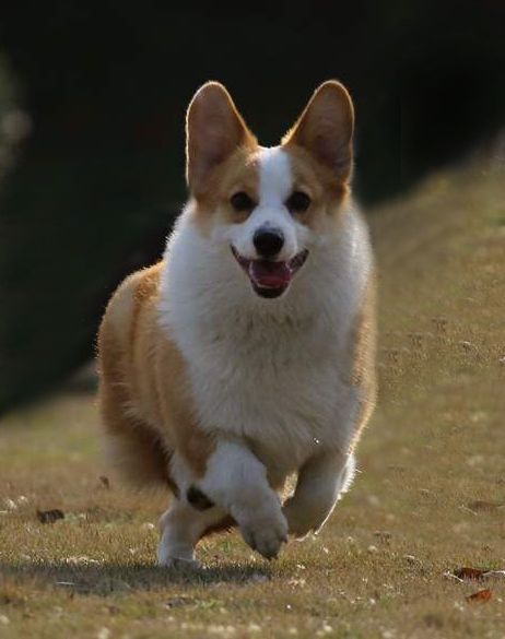 爸爸.jpg