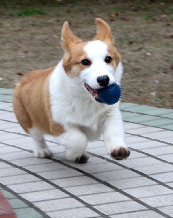 1.jpg