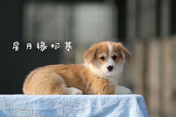 QQ图片20180125211345.jpg