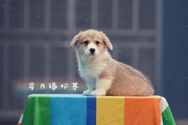 QQ图片20180125211348.jpg