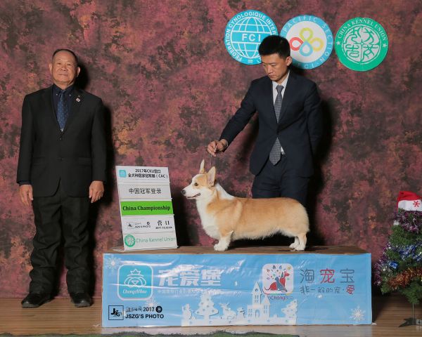 QQ图片20180125211303.jpg
