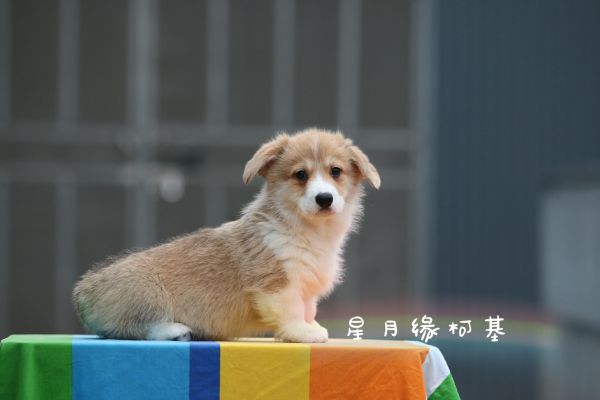 QQ图片20180125211351.jpg