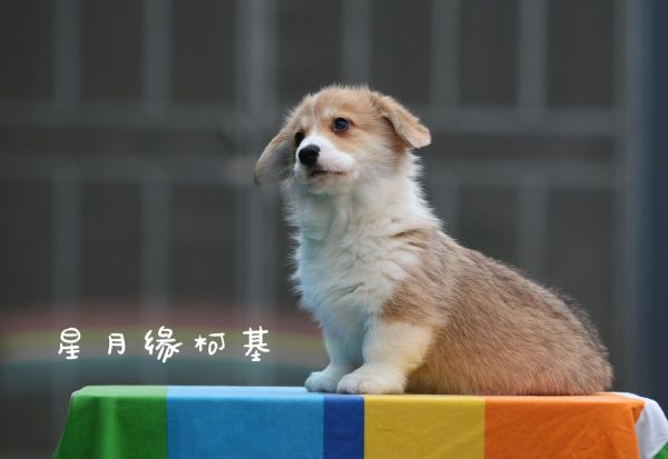 QQ图片20180125211354.jpg