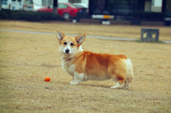 IMG_7562_副本.jpg