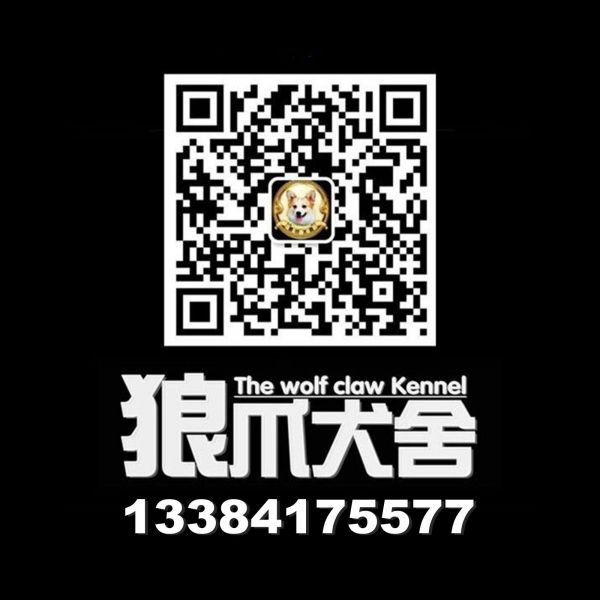 QQ圖片20171207193730.jpg