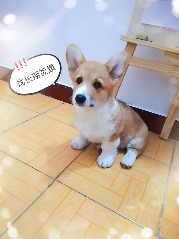QQ图片20180118090329_meitu_1.jpg