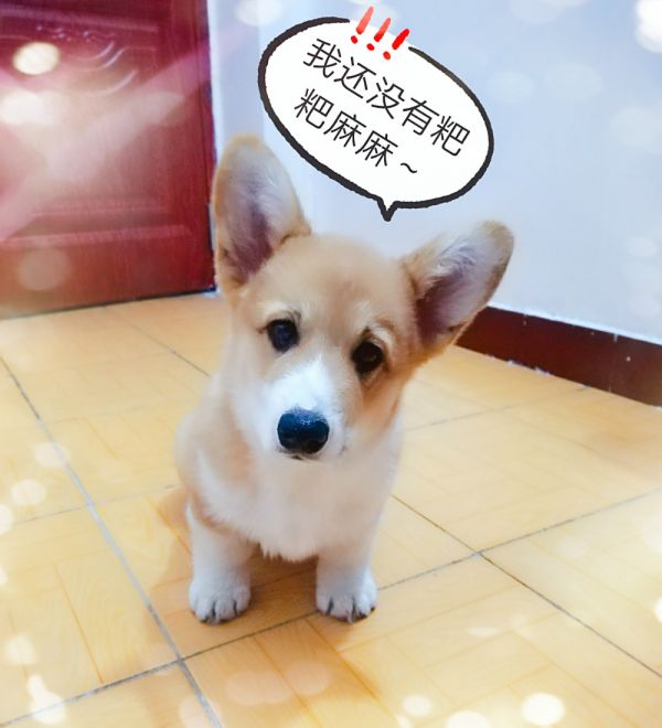 QQ图片20180118090321_meitu_2.jpg