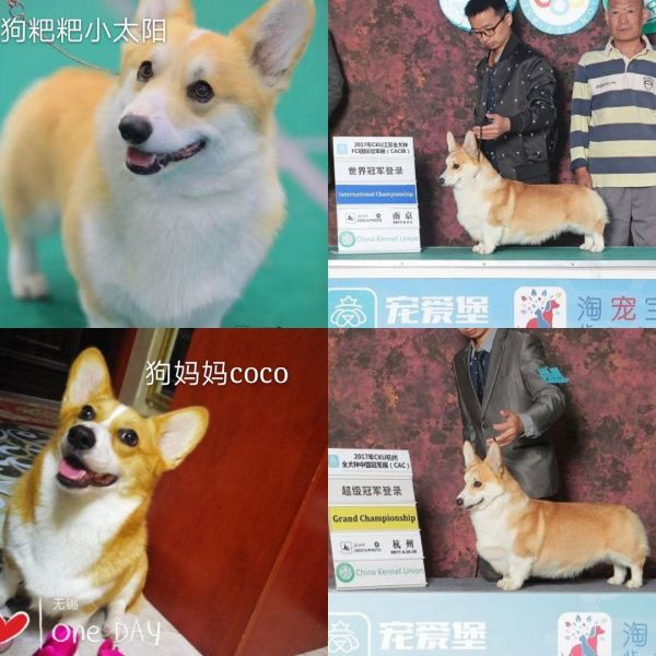mmexport1517028708151_看图王.jpg