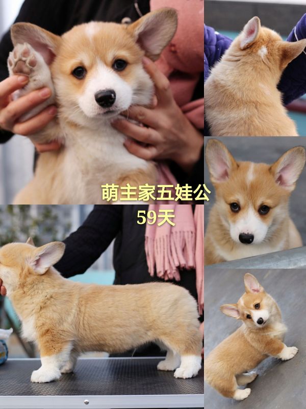 新建文件夹 (2)pt2017_12_31_18_23_08_mh1514715881660_看图王.jpg