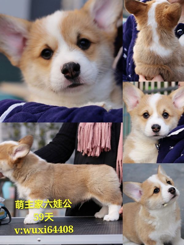 新建文件夹 (2)pt2017_12_31_18_26_47_mh1514716099726_看图王.jpg