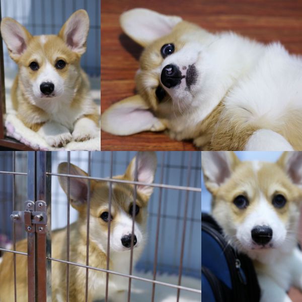 新建文件夹 (2)pt2018_01_22_23_52_19_看图王.jpg