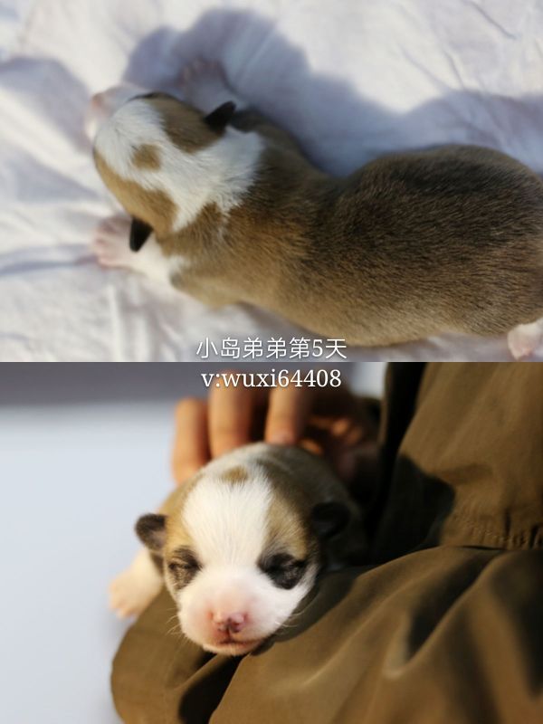 新建文件夹 (2)pt2018_01_20_21_54_01_mh1516456525611_看图王.jpg