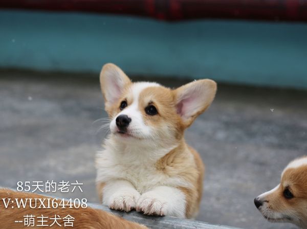 IMG_9201_mh1517027694741_看图王.jpg