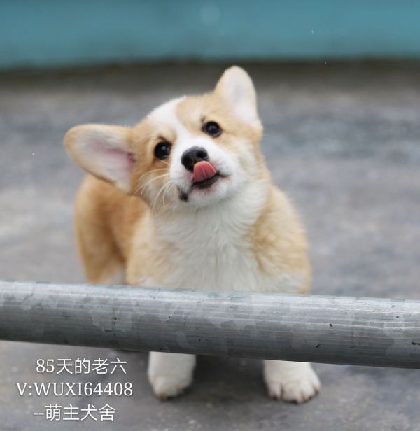 IMG_9190_mh1517027886658_看图王.jpg