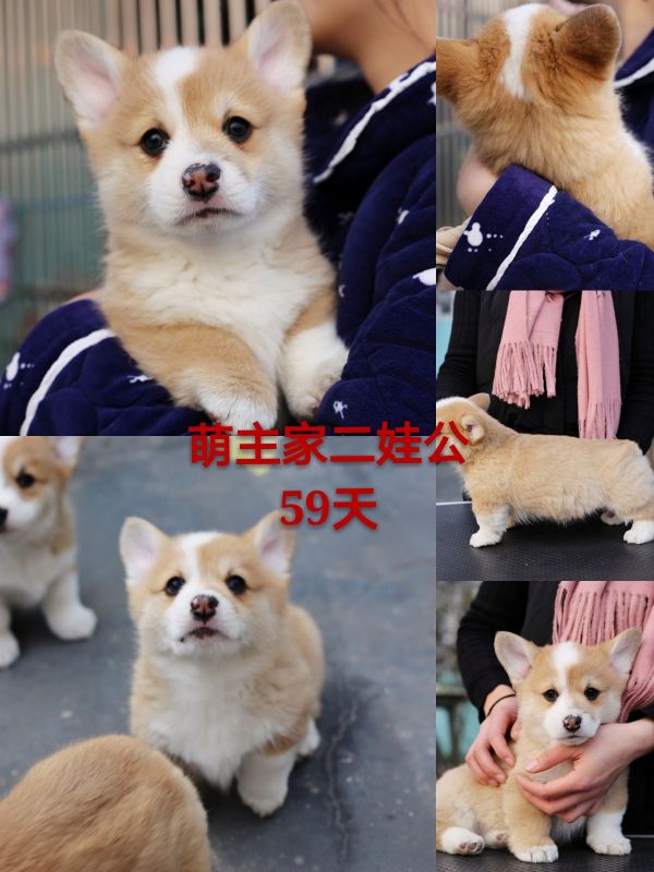 新建文件夹 (2)pt2017_12_31_18_16_58_mh1514715479272_看图王.jpg