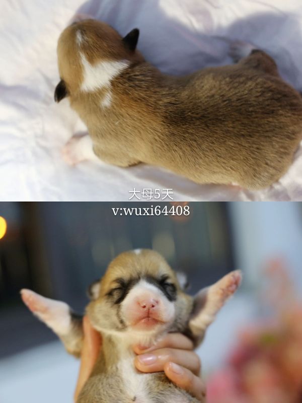 新建文件夹 (2)pt2018_01_20_21_56_07_mh1516456618065_看图王.jpg