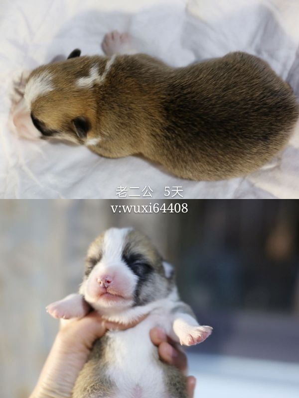 新建文件夹 (2)pt2018_01_20_21_57_36_mh1516456758462_看图王.jpg