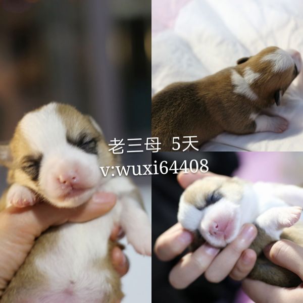 新建文件夹 (2)pt2018_01_20_22_00_55_mh1516456904868_看图王.jpg