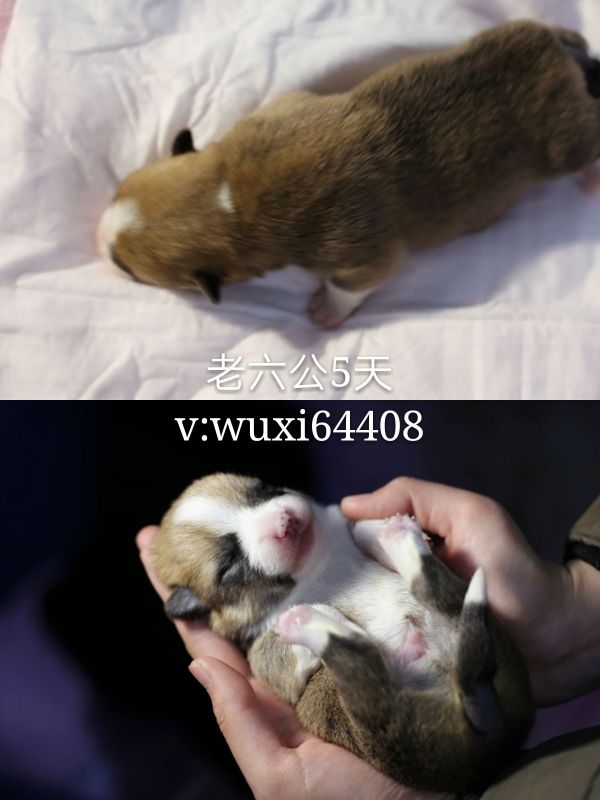 新建文件夹 (2)pt2018_01_20_22_02_28_mh1516456991991_看图王.jpg