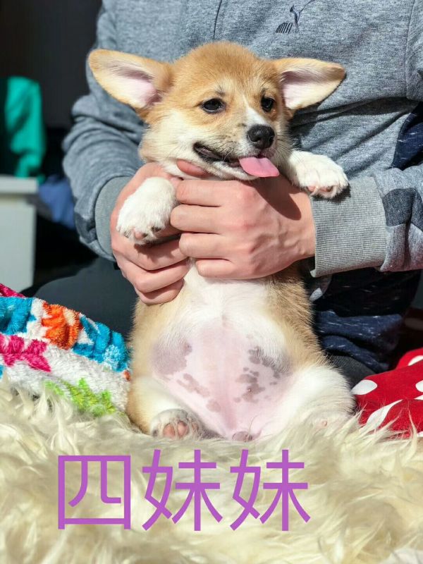 QQ图片20180128203954.jpg
