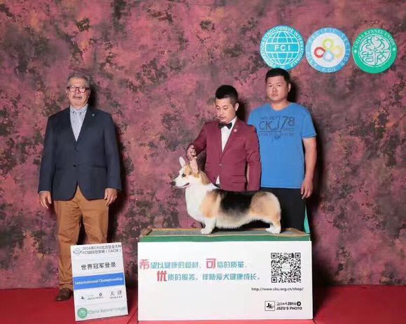 父亲：薯片