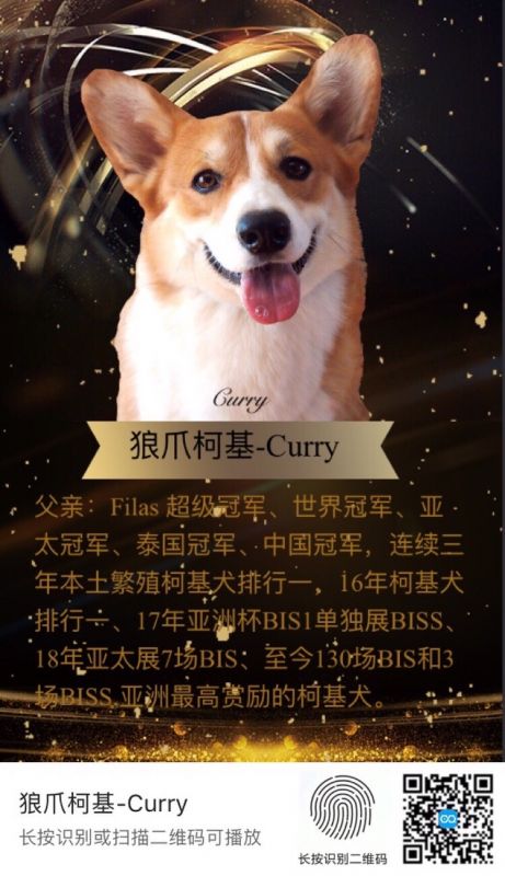 微信图片_20180131170119.jpg