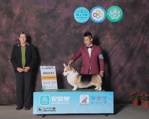 父亲：薯片
