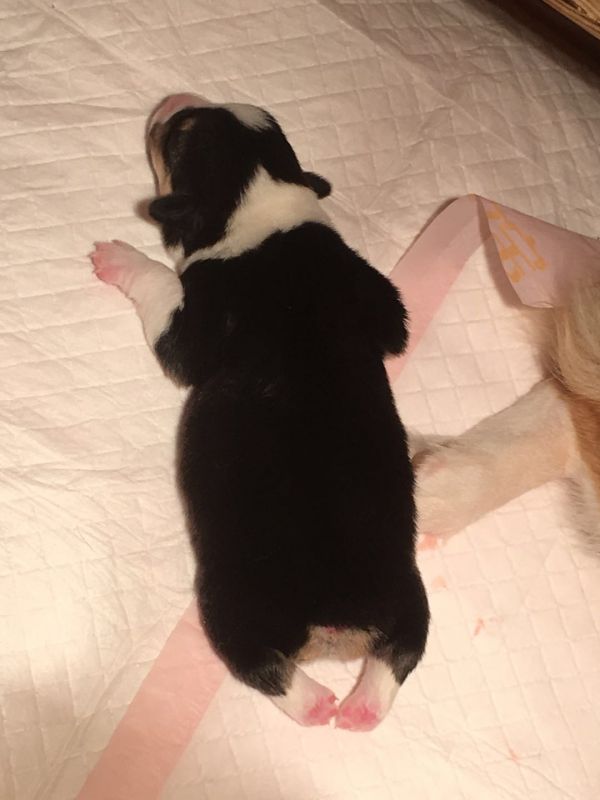 615279950061465004.jpg