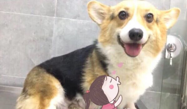 妈妈