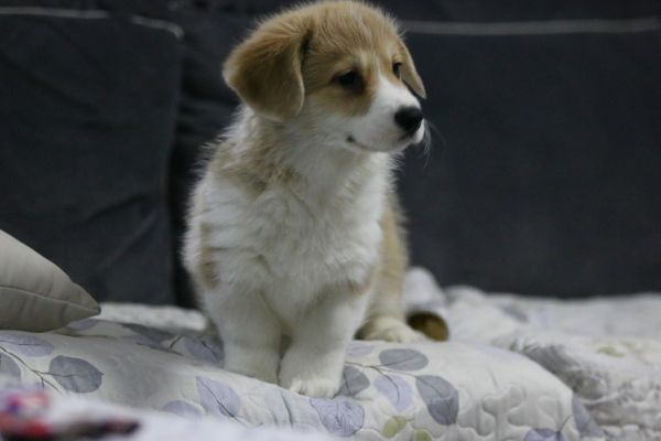 IMG_0239_爱奇艺.jpg