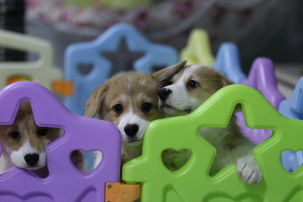 IMG_0242_爱奇艺.jpg